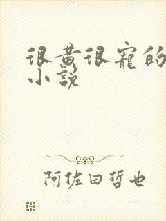 很黄很宠的总裁小说