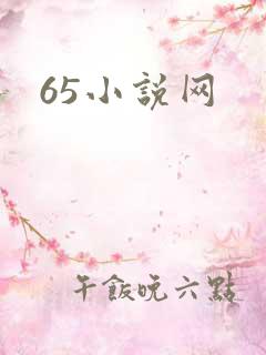 65小说网