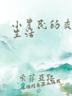 小农民的爽歪歪生活