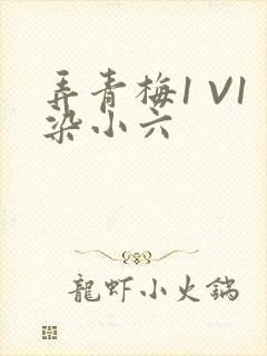 弄青梅1 V1染小六