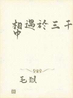 相遇于三千肉文中