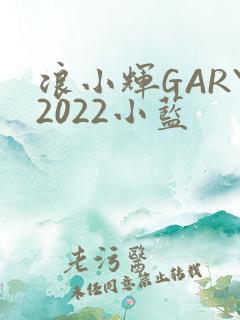 浪小辉GARY2022小蓝