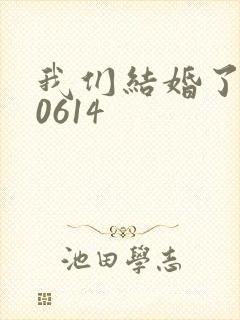 我们结婚了130614
