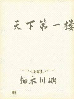 天下第一楼高清