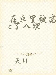 在车里被高潮被c了八次