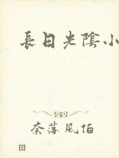 长日光阴小说