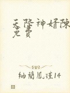 天降神婿陈黄皮免费