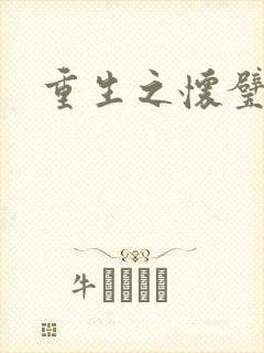 重生之怀璧其罪