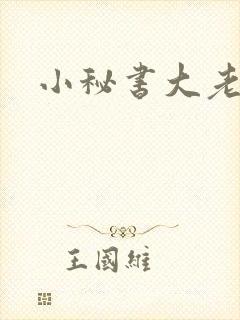 小秘书大老婆