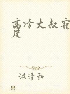 高冷大叔宠妻无度