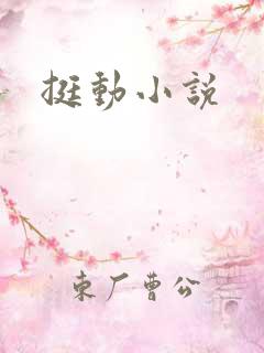挺动小说