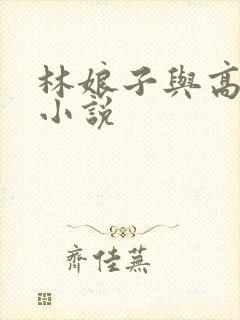 林娘子与高衙内小说