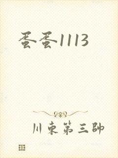 蛋蛋1113