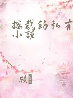 总裁的私有宝贝小说