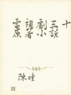 电视剧三十而已原著小说