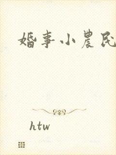 婚事小农民