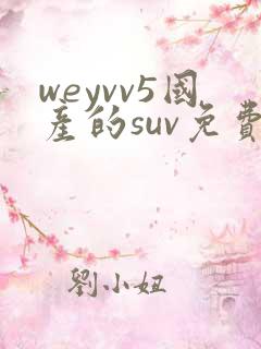 weyvv5国产的suv免费