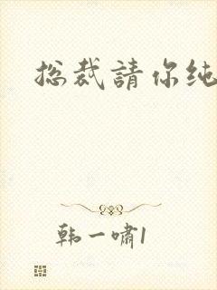 总裁请你纯洁点