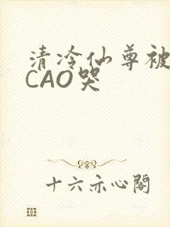 清冷仙尊被强制CAO哭