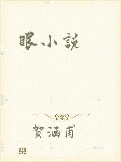 眼小说