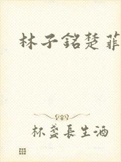 林子铭楚菲小说