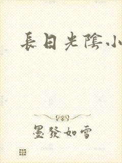 长日光阴小说