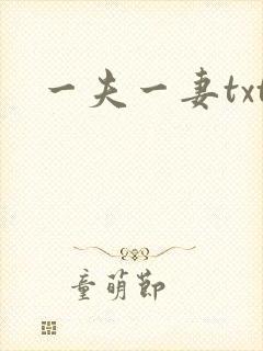 一夫一妻txt