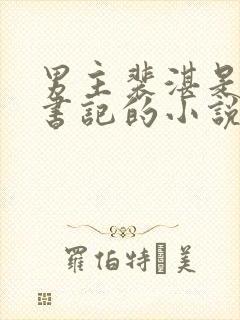 男主裴湛是省委书记的小说