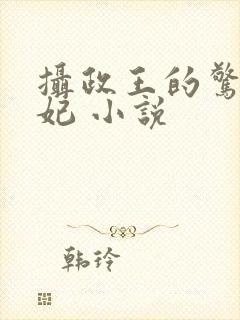 摄政王的惊世嫡妃 小说