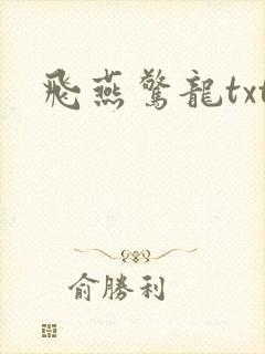 飞燕惊龙txt