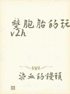 双胞胎的玩具1v2h