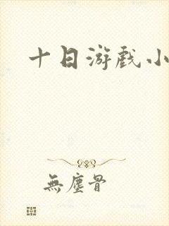 十日游戏小说