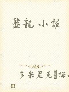 盘龙 小说