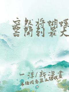 突然将蝴蝶遥控器开到最大