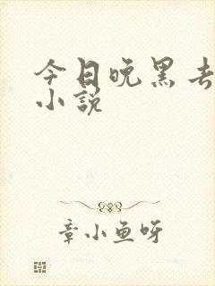 今日晚黑去见你小说