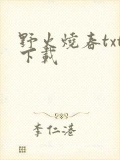 野火烧春txt下载