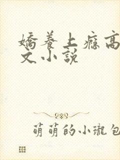 娇养上瘾高H爽文小说