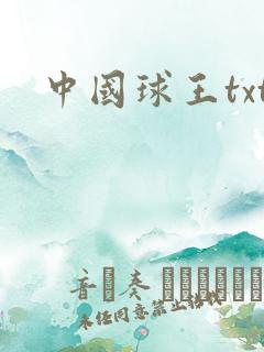 中国球王txt