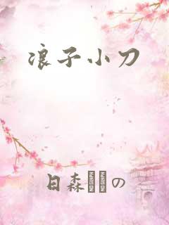 浪子小刀