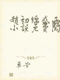 赵初绵盛西舫的小说免费阅读