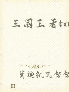 三国王者txt