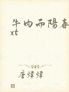 牛肉面阳春面txt