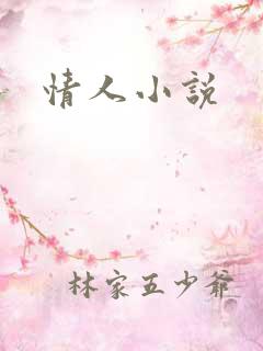 情人小说