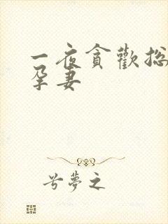 一夜贪欢总裁幸孕妻