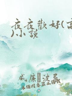夜夜欢好(高h)小说