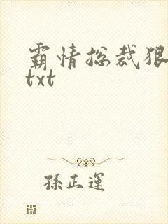 霸情总裁狠狠爱txt