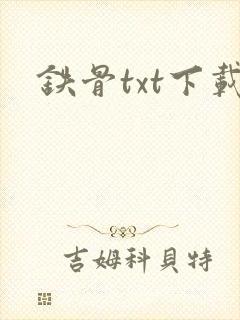 铁骨txt下载