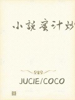 小说蜜汁炒鱿鱼