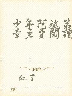 少年阿斌第13章免费阅读