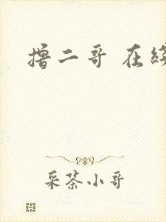 撸二哥 在线